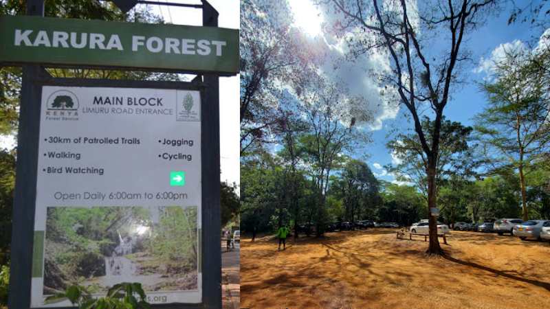Karura Forest Activities And Charges 3